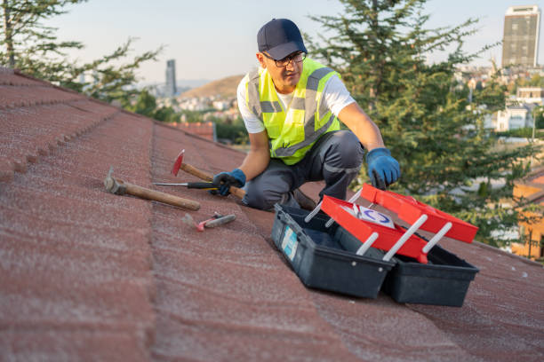 Best Storm Damage Siding Repair  in Mshall, AR